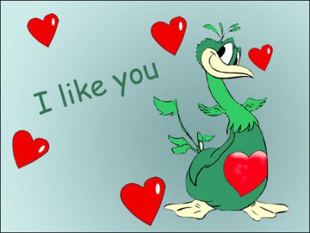 i like you
